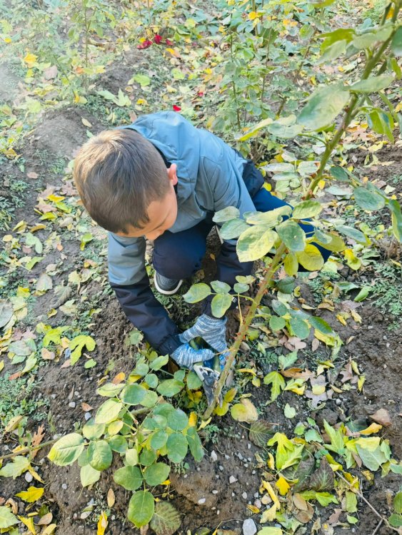 "ҚАМҚОР" жобасы